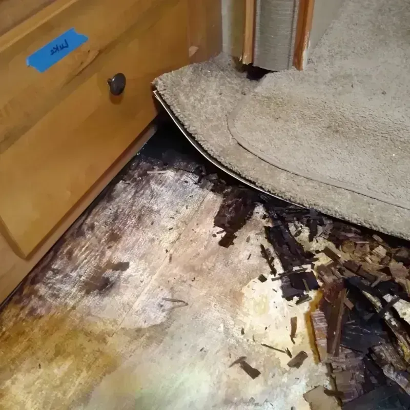 Wood Floor Water Damage in Pella, IA